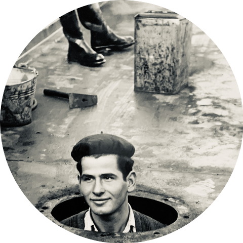 Dirty Street Pigeons