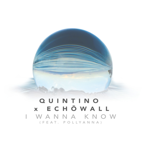 Quintino x ECHŌWALL