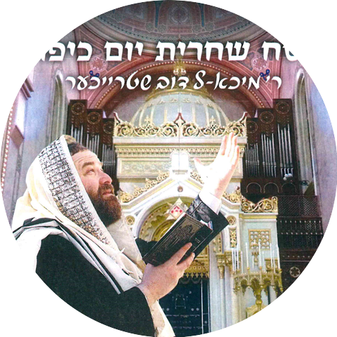 Michoel Streicher