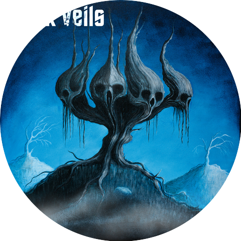 The Black Veils