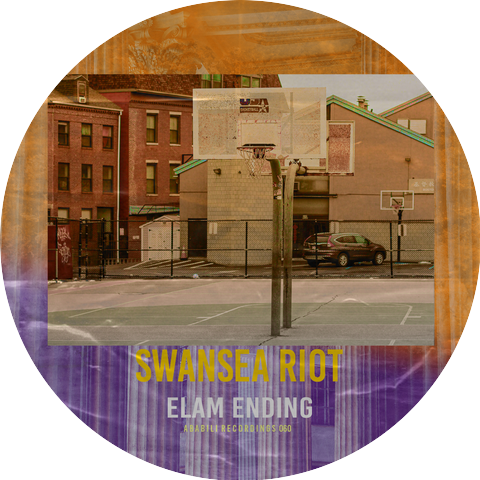 Swansea Riot