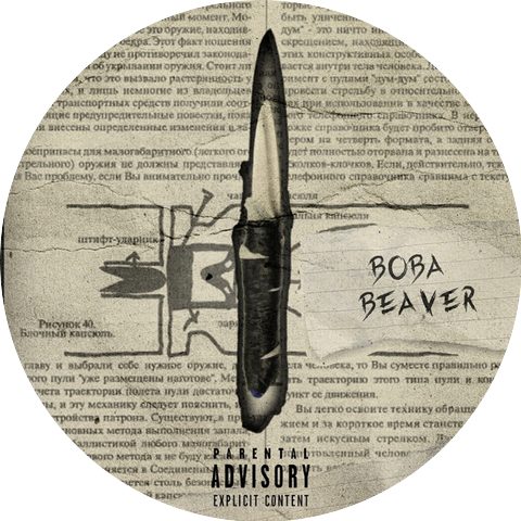 Вова Beaver