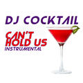 DJ Can't Hold Us