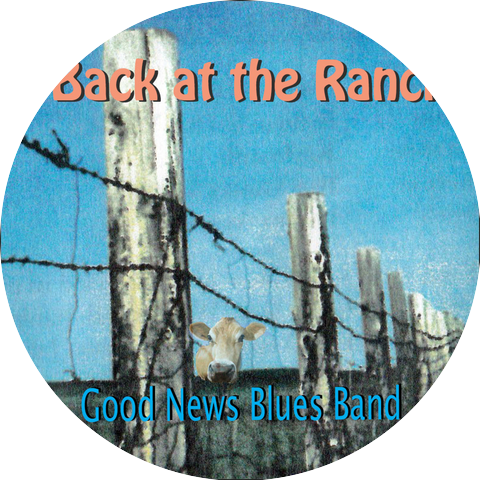 Bad News Blues Band