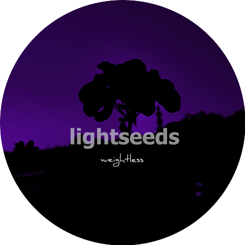 Lightseeds