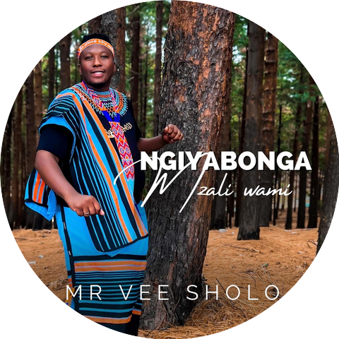 Mr Vee Sholo