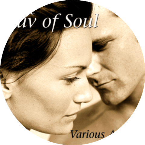 The Rayber Voices