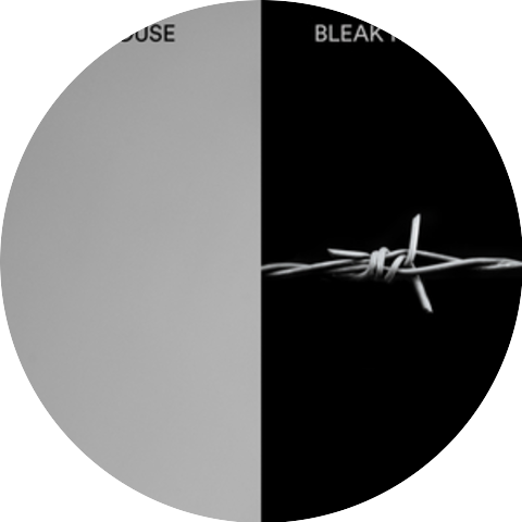 Bleak House
