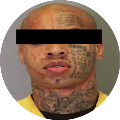 Bushido the Evil Ninja