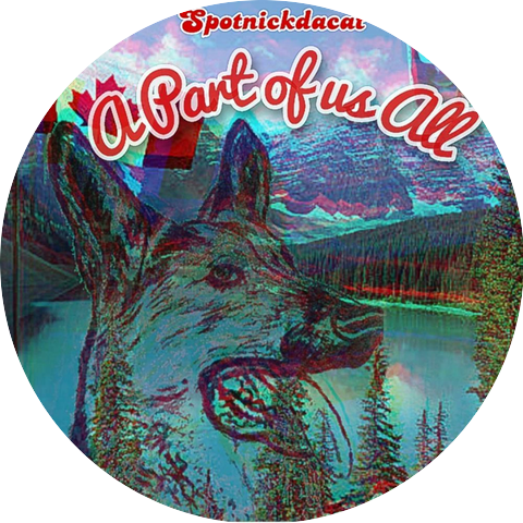 Spotnickdacat