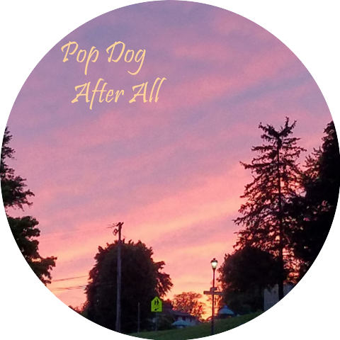 Paul 'Pop Dog' Phillips