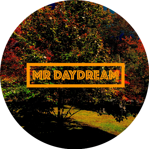 Mr. Daydream