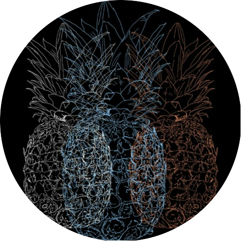 Introducing Oto