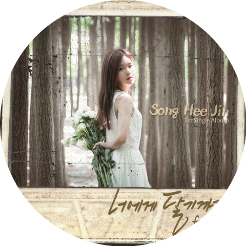 Song Hee Jin