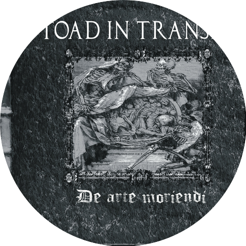 Toad In Transit
