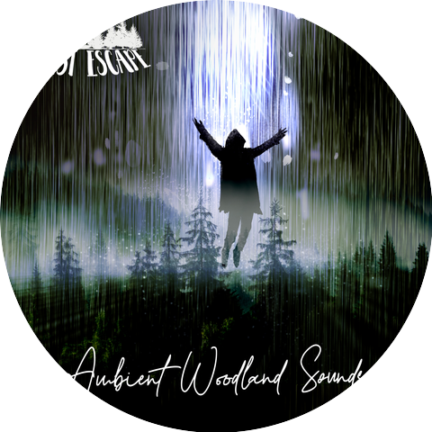 The Forest Escape