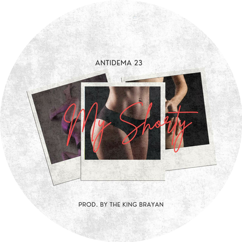 Antidema 23