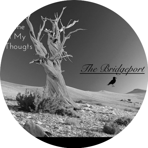 The Bridgeport