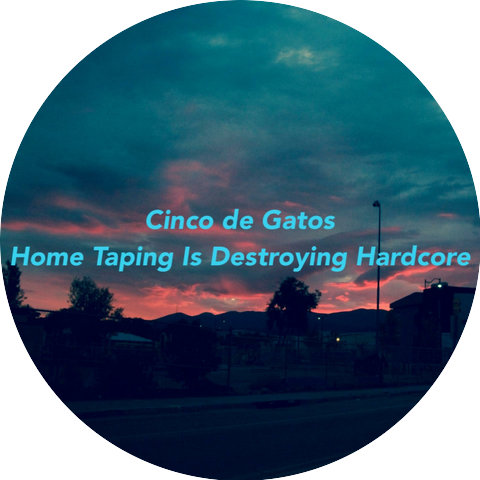 Cinco de Gatos