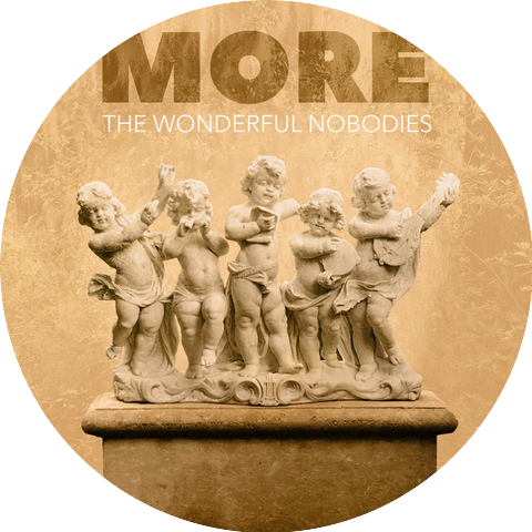 The Wonderful Nobodies