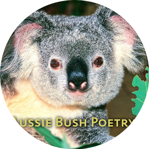 Judy Morris