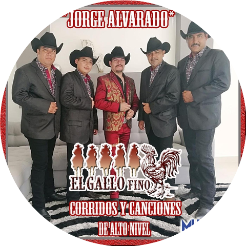 Jorge Alvarado el Gallo Fino