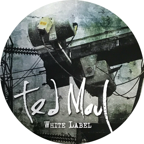 Ted Maul