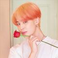 Jimin & Irion