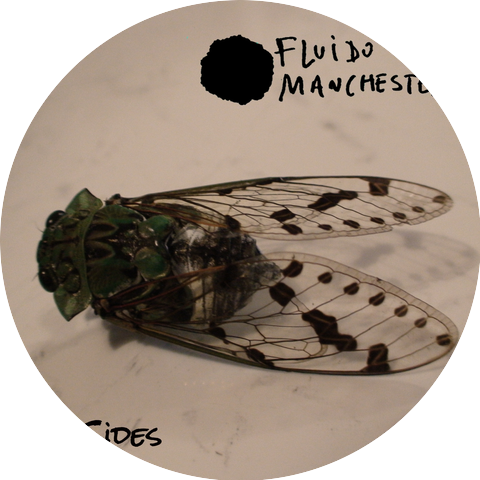 Fluido Manchester