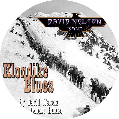 David Nelson Band