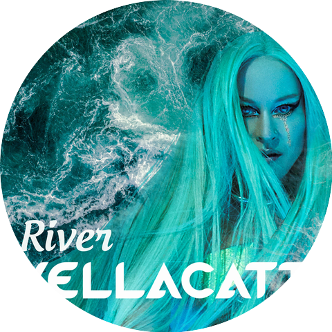 YellaCatt