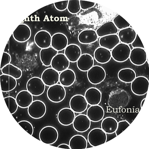Eighth Atom