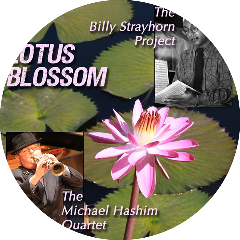 The Michael Hashim Quartet