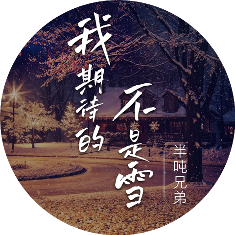 半吨兄弟