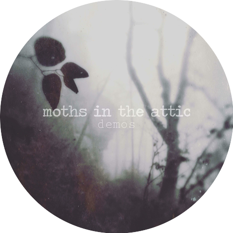 Moths in the Attic
