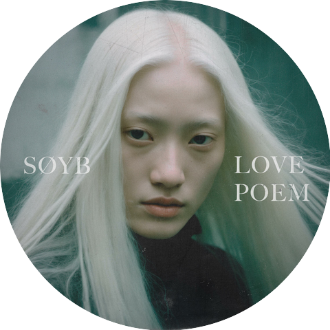 Soyb
