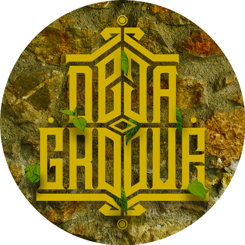 Deja Groove