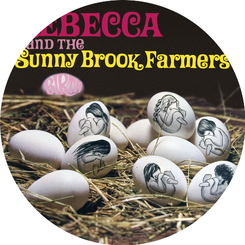 Rebecca & The Sunny Brook Farmers