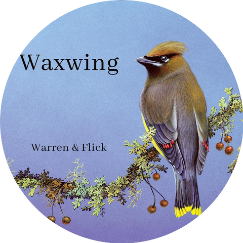 Warren & Flick