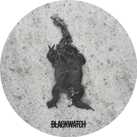 BLACKWATCH