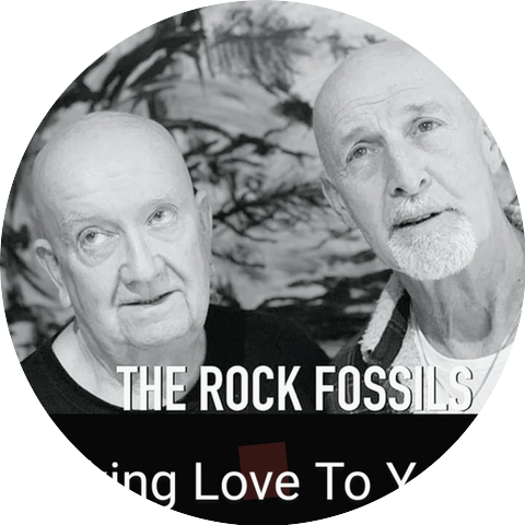 The Rock Fossils