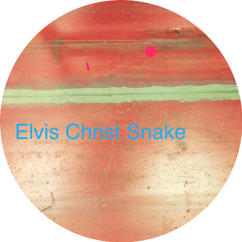 Elvis Christ Snake