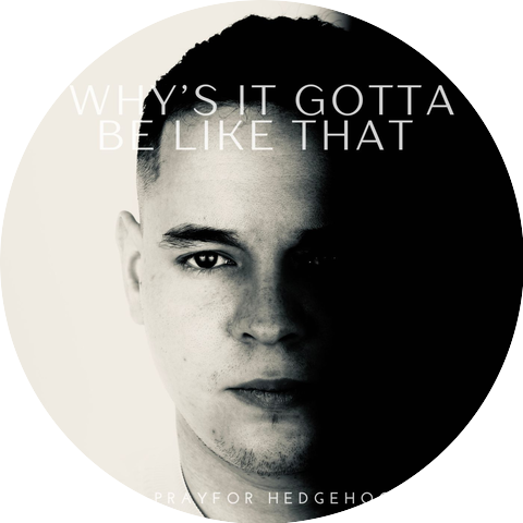 Prayfor Hedgehog & Ada