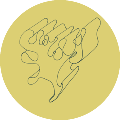 Rhodri Davies