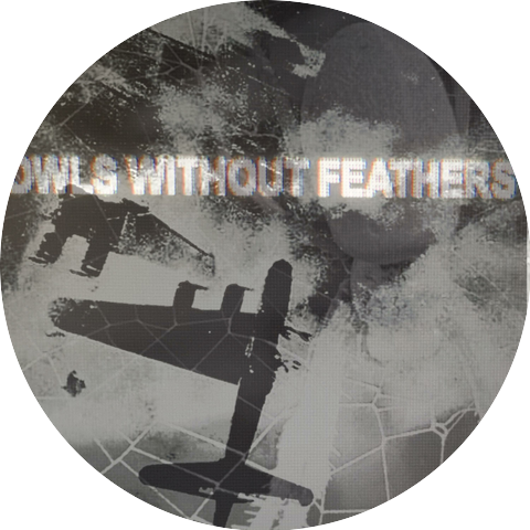 Owls Without Feathers