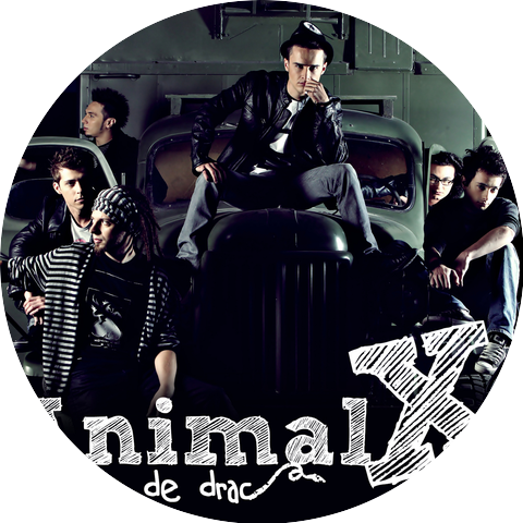 Animal X