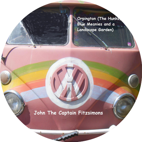 John the Captain Fitzsimons