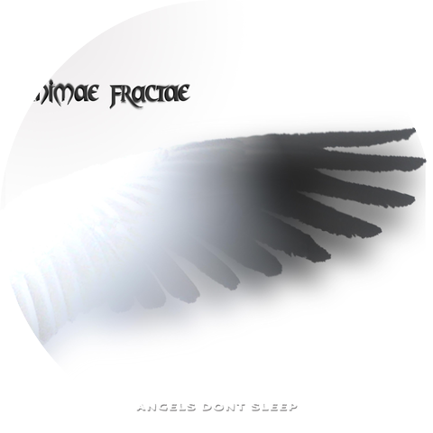 Angels Dont Sleep