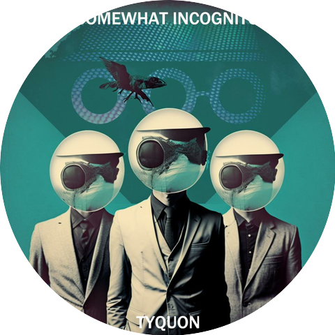 Somewhat Incognito