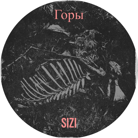 SIZI
